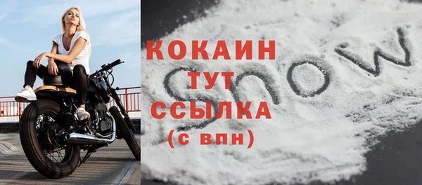 ПСИЛОЦИБИНОВЫЕ ГРИБЫ Кулебаки