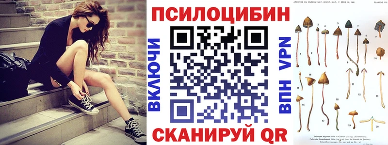 где можно купить наркотик  Хасавюрт  Галлюциногенные грибы GOLDEN TEACHER 